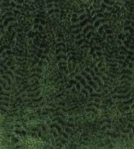 Lizong Fabric by Nina Campbell Emerald