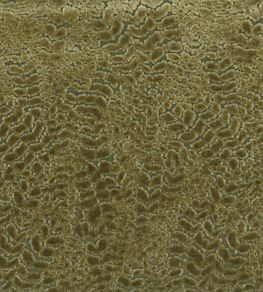 Lizong Fabric by Nina Campbell Gold
