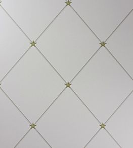 Torosay Wallpaper by Nina Campbell Gold, Taupe
