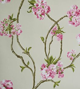 Orchard Blossom Wallpaper by Nina Campbell 1