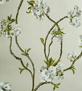 Orchard Blossom Wallpaper by Nina Campbell 5