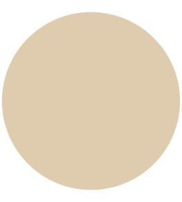 Old Ochre Chalk Paint by Annie Sloan Old Ochre