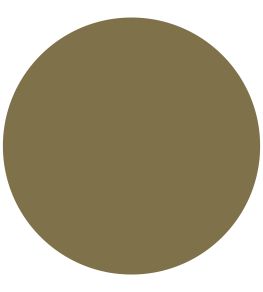 Olive Chalk Paint by Annie Sloan Olive