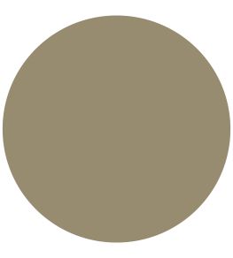 Olive Fruit Chalky Matt Paint by Morris & Co Olive Fruit