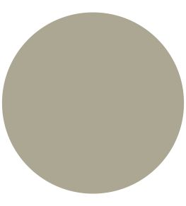 Olive Laque 1829 Chalky Emulsion Paint by Craig & Rose Olive Laque