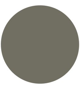 Olivine True Matt Emulsion Paint by Zoffany Olivine