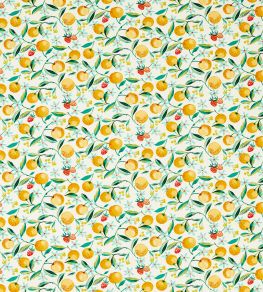 Orange Blossom Fabric by Clarke & Clarke Citron