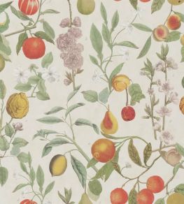 Orchard Fruits Wallpaper by Designers Guild Parchment