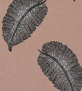 Paraggi Wallpaper by Osborne & Little 2