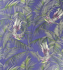 Sunbird Wallpaper by Matthew Williamson Electric Blue, Fuchsia, Metallic Gilver