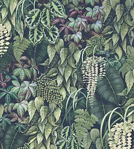 Green Wall Wallpaper by Osborne & Little 2