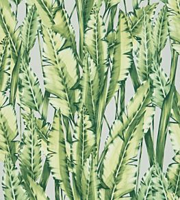 Tiger Leaf Wallpaper by Osborne & Little 2