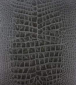 Crocodilo Vinyl Wallpaper by Osborne & Little Black
