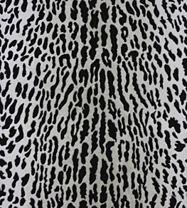 Pantanal Wallpaper by Osborne & Little Metallic Gilver/Black