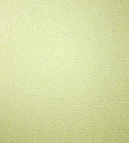 Oriole Wallpaper by Osborne & Little Pale Lime