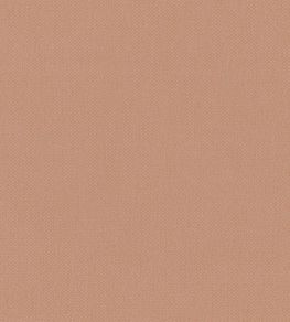 Oxford Fabric by Warwick Blush