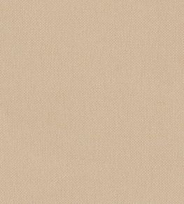 Oxford Fabric by Warwick Butter