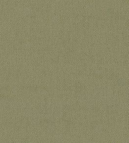 Oxford Fabric by Warwick Celery