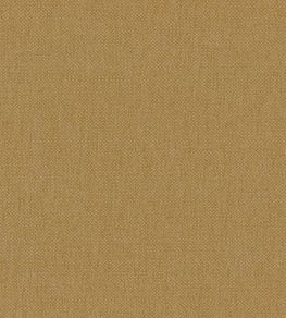 Oxford Fabric by Warwick Mustard