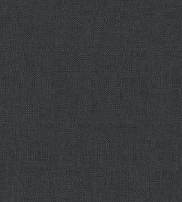 Oxford Fabric by Warwick Thunder