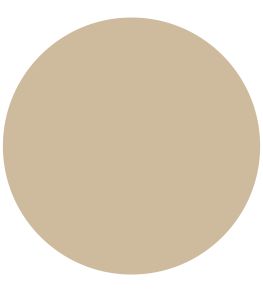 Pale Oak 1829 Gloss Paint by Craig & Rose Pale Oak