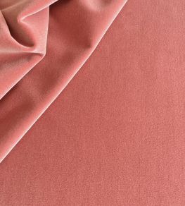 Palis Velvet Fabric by Ian Sanderson Dusty Rose
