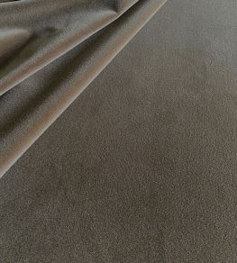 Palis Velvet Fabric by Ian Sanderson Owl
