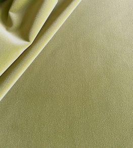 Palis Velvet Fabric by Ian Sanderson Sage