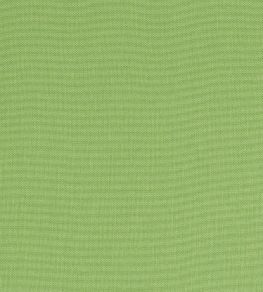 Palmer Fabric by Thibaut Kiwi