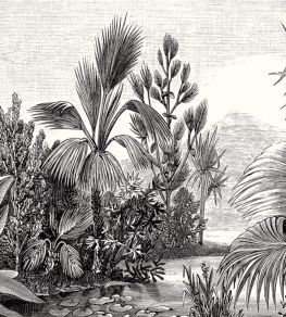 Balade Sauvage Mural by Caselio Noir et Blanc
