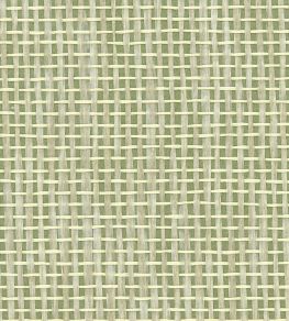Papyrus Wallpaper by Osborne & Little Olive