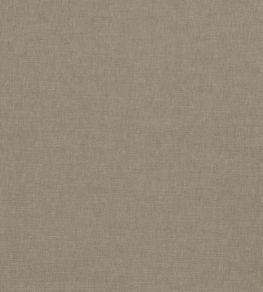 Paradiso Fabric by Clarke & Clarke Ash