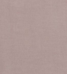 Paradiso Fabric by Clarke & Clarke Blush