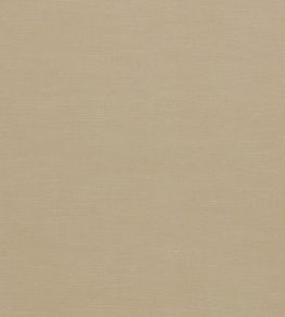 Paradiso Fabric by Clarke & Clarke Buff
