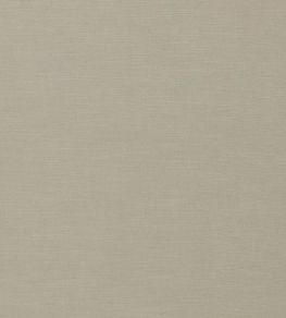 Paradiso Fabric by Clarke & Clarke Dove