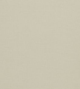 Paradiso Fabric by Clarke & Clarke Ivory