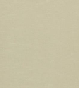 Paradiso Fabric by Clarke & Clarke Natural