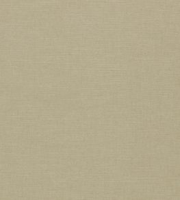 Paradiso Fabric by Clarke & Clarke Oatmeal