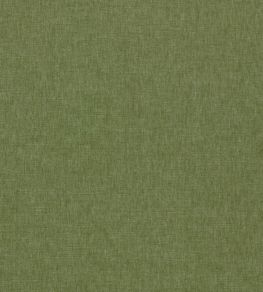 Paradiso Fabric by Clarke & Clarke Olive