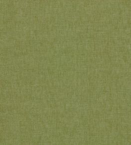 Paradiso Fabric by Clarke & Clarke Palm