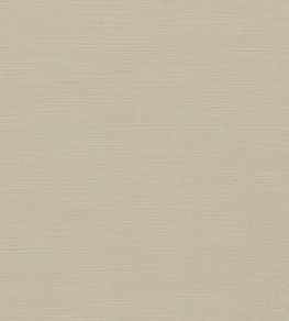 Paradiso Fabric by Clarke & Clarke Pebble