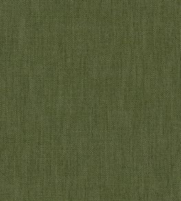Parker Fabric by Warwick Basil