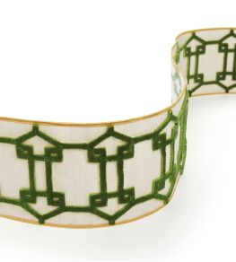 Pavilion Braid Trimming by Osborne & Little Leaf