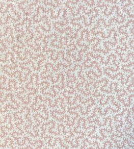 Petra Fabric by Ian Sanderson Bisque