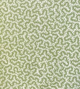 Petra Fabric by Ian Sanderson Comfrey