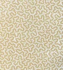 Petra Fabric by Ian Sanderson Popcorn