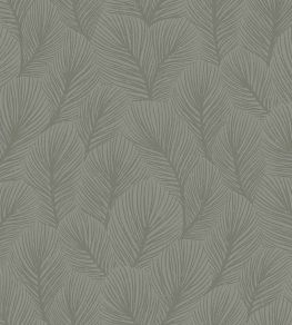 Pine Tree Wallpaper by Borastapeter Grey