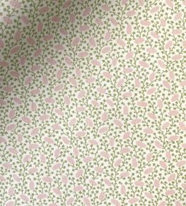 Pinto Fabric by Ian Sanderson Blossom