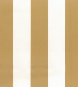 Pisa Stretto Fabric by Osborne & Little Amber