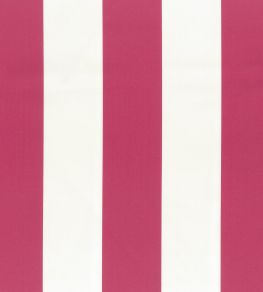 Pisa Stretto Fabric by Osborne & Little Azalea
